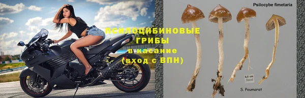 бошки Баксан