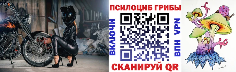 mega сайт  Гулькевичи  Галлюциногенные грибы мицелий 